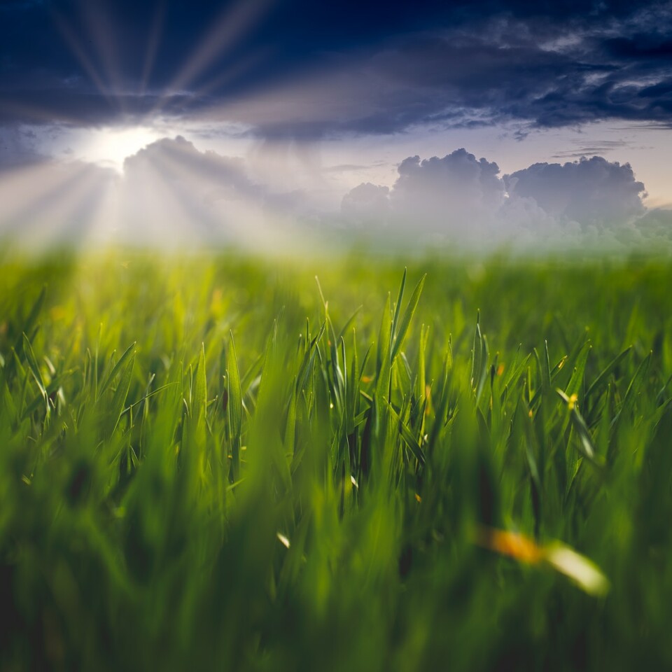 Environmental, Social, and Governance Focus